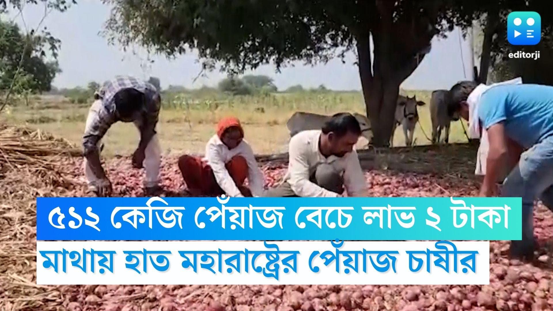 Onion Farmer: ৫১২ কেজি পেঁয়াজ বেচে হাতে এল মাত্র ২ টাকা,  মাথায় হাত মহারাষ্ট্রের কৃষকের