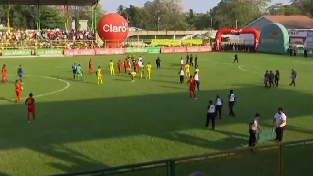 Snake on the football ground: পুরোদমে চলছিল ফুটবল, মাঝমাঠে ভেল্কি দেখাল এক সাপ