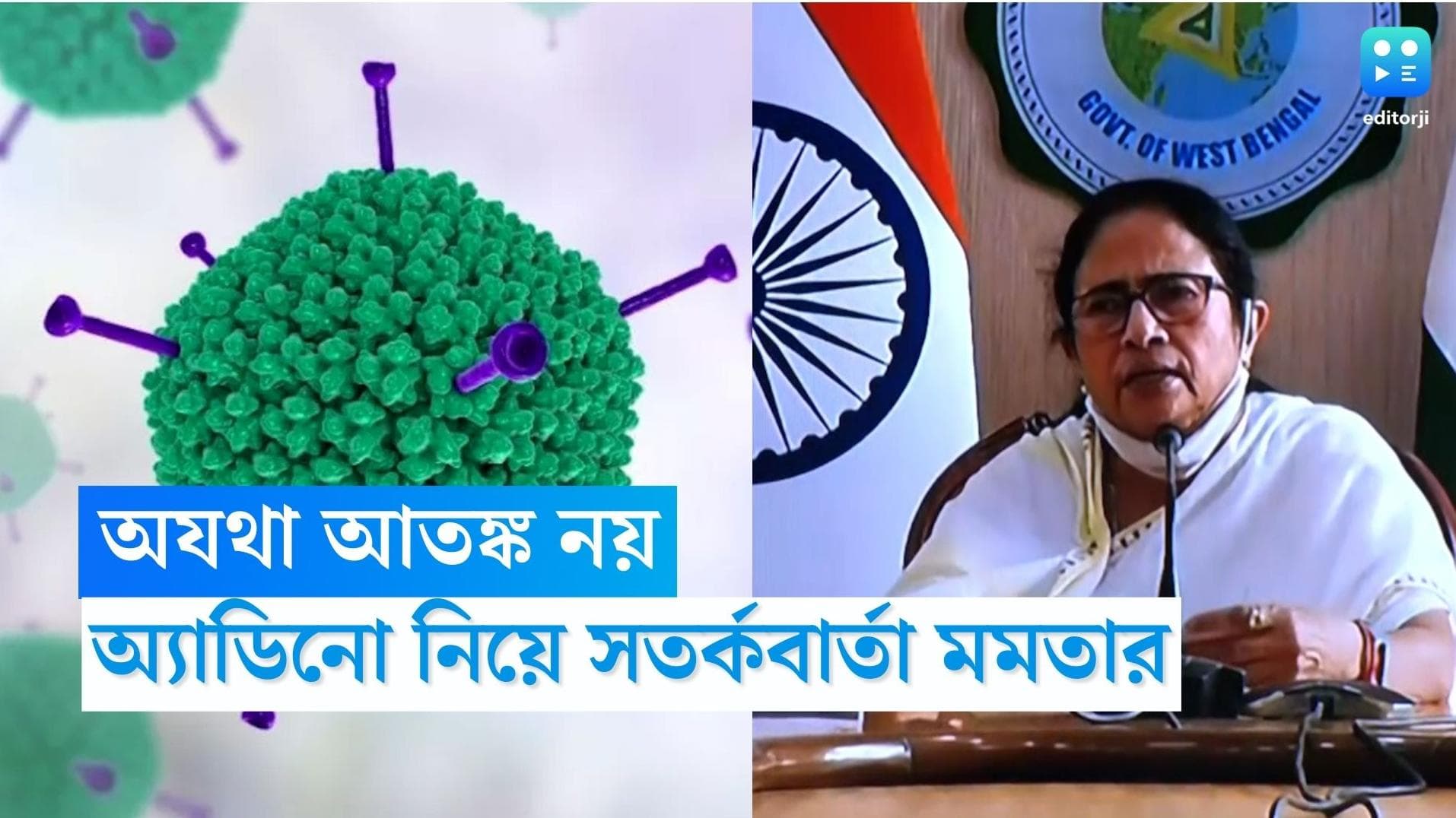 Mamata Banerjee: 'অযথা আতঙ্ক নয়', অ্যাডিনোভাইরাস নিয়ে রাজ্যবাসীকে বার্তা মুখ্যমন্ত্রীর