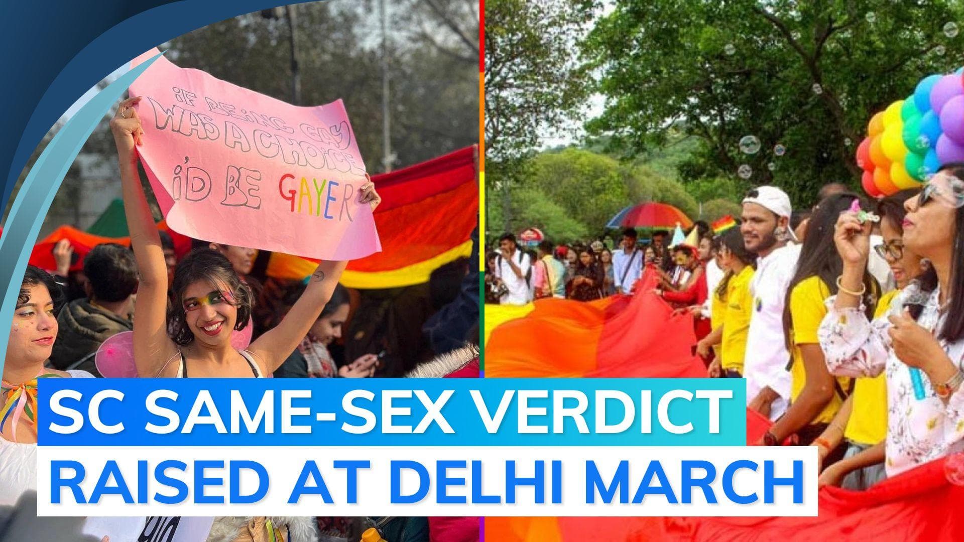 14th Delhi Queer Pride Parade: thousands attend pride march, raise concerns over laws