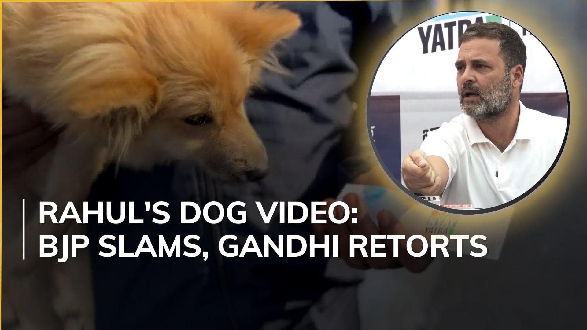Watch: BJP claims Rahul Gandhi gave dog biscuit to supporter, he replies