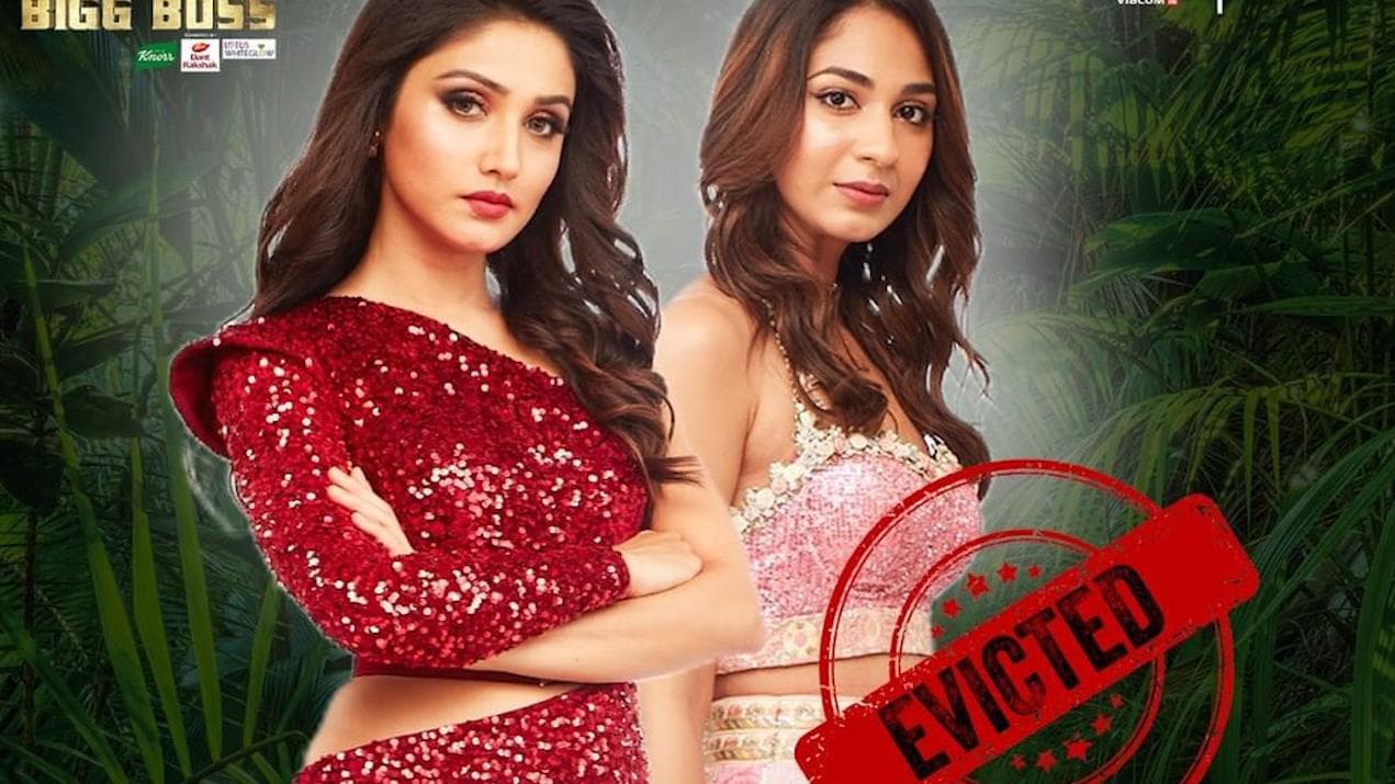 'Bigg Boss 15': Donal Bisht and Vidhi Pandya evicted, Twitterati call it 'unfair'