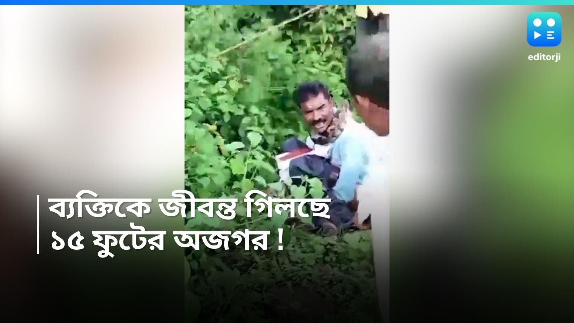 Viral Video : খোলা মাঠে মলত্যাগ করছিলেন, হঠাৎ ঝাঁপিয়ে পড়ল ১৫ ফুটের অজগর, তারপর ?