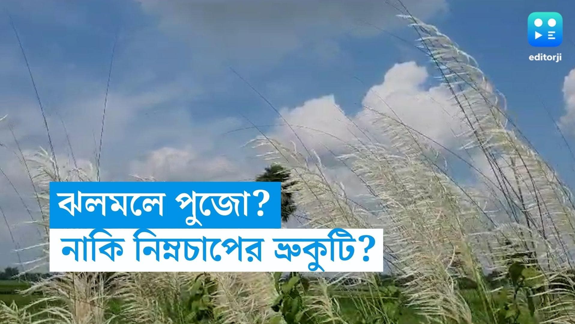 West Bengal Weather Update: পুজোয় কি হাওয়া বদলের সম্ভাবনা, নিম্নচাপের ভ্রুকুটি কোনদিকে?