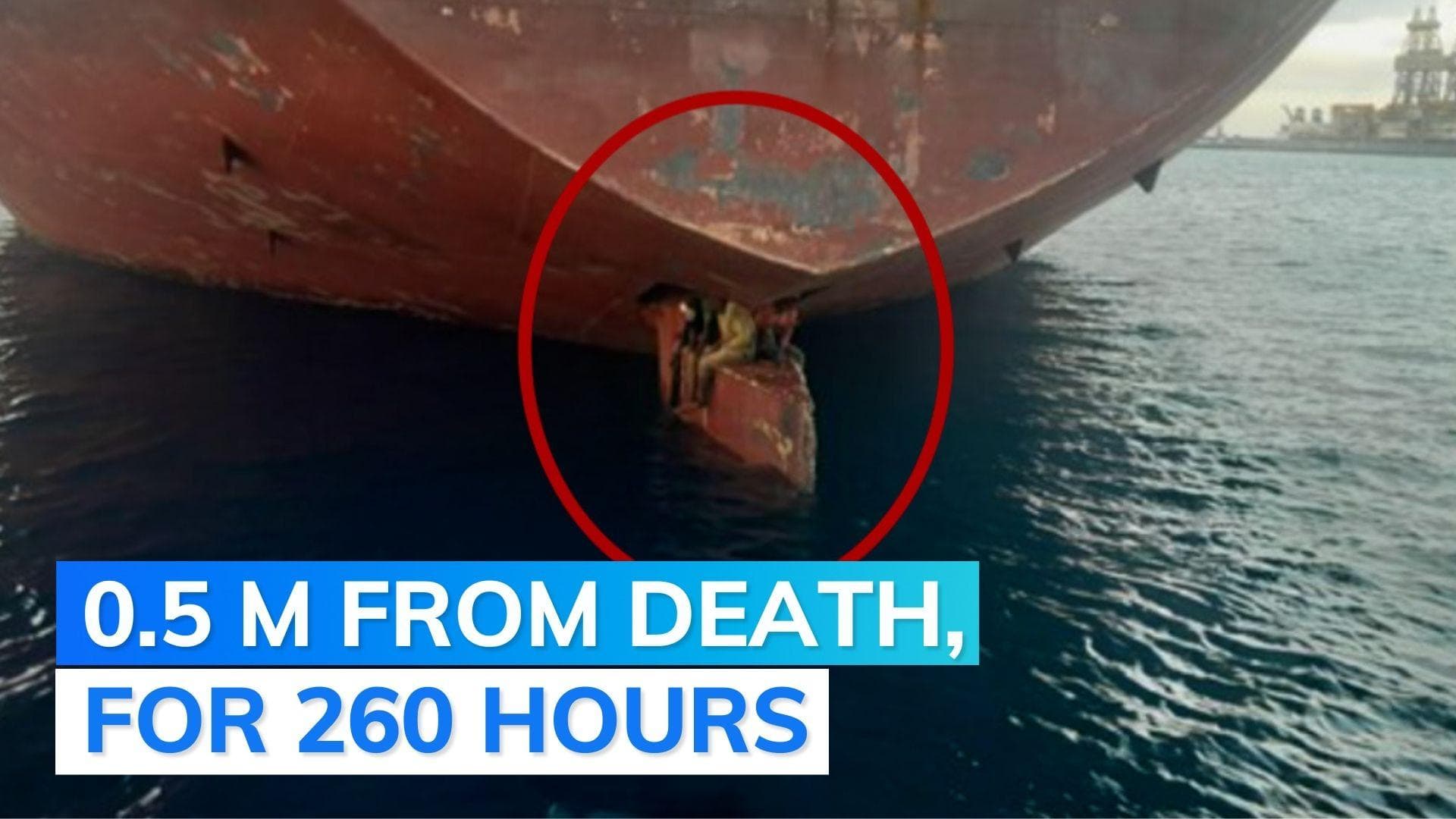 Why 3 men spent 11 days on rudder of ship, braving dangerous waves to reach Spain's Canary Islands