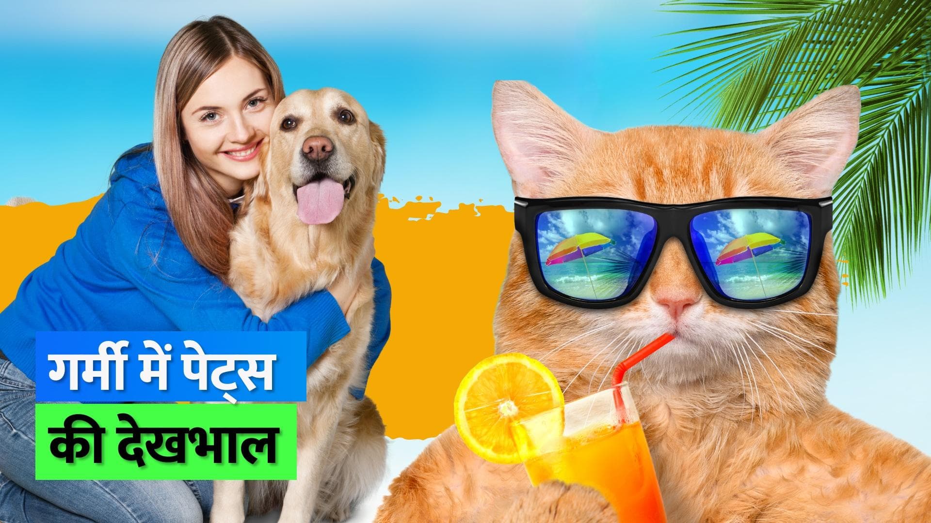 Pet Care in Summer: गर्मी में अपने पेट्स का रखें ख़ास ख़्याल, ज़रूर फॉलो करें ये टिप्स