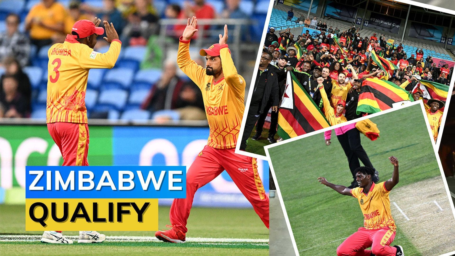 WATCH HIGHLIGHTS! Zimbabwe beat Scotland to book place in Super 12