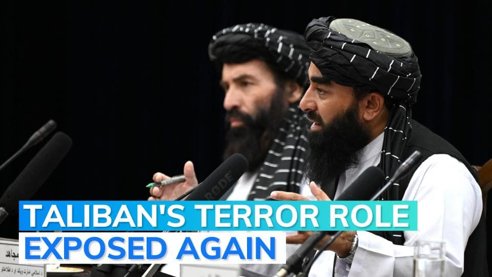 Did someone from Taliban sell out Ayman al-Zawahri to the US? 