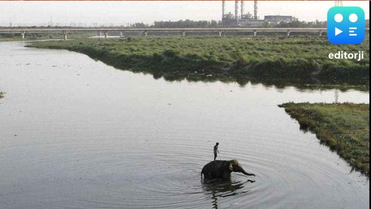 Delhi Ministers stress youth engagement in Yamuna cleanup