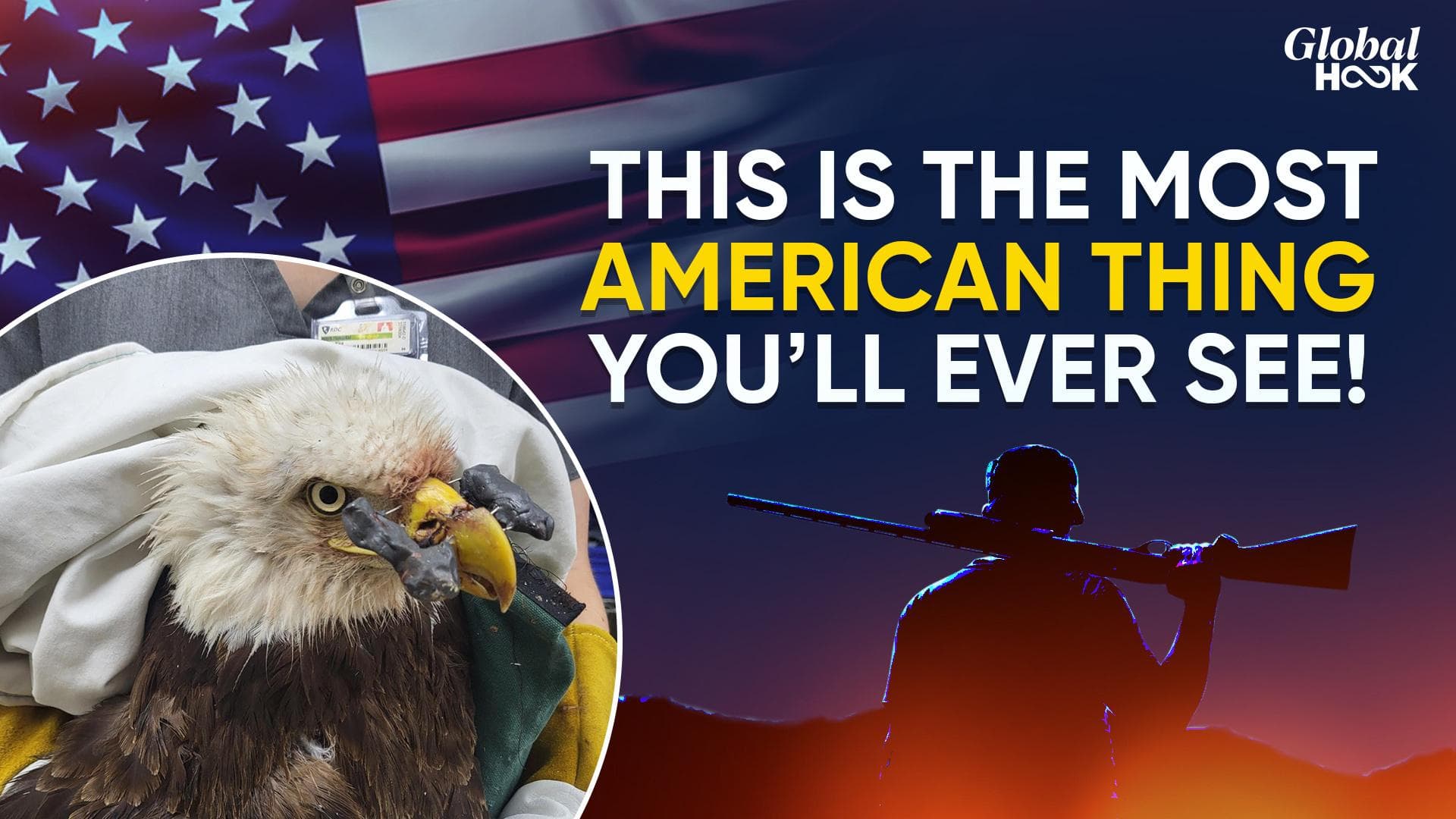 America's national bird falls prey to gun violence