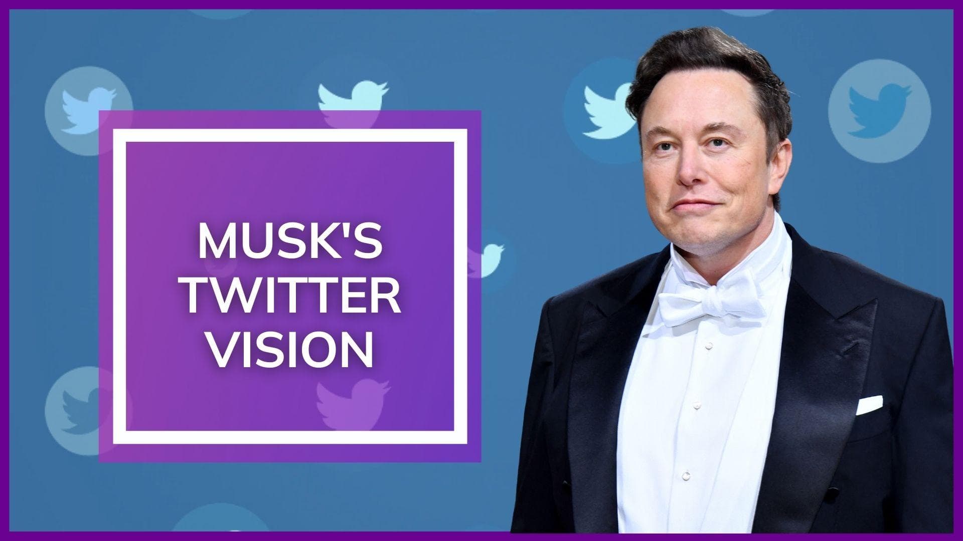 Watch! Elon Musk candid about negativity and what next for Twitter