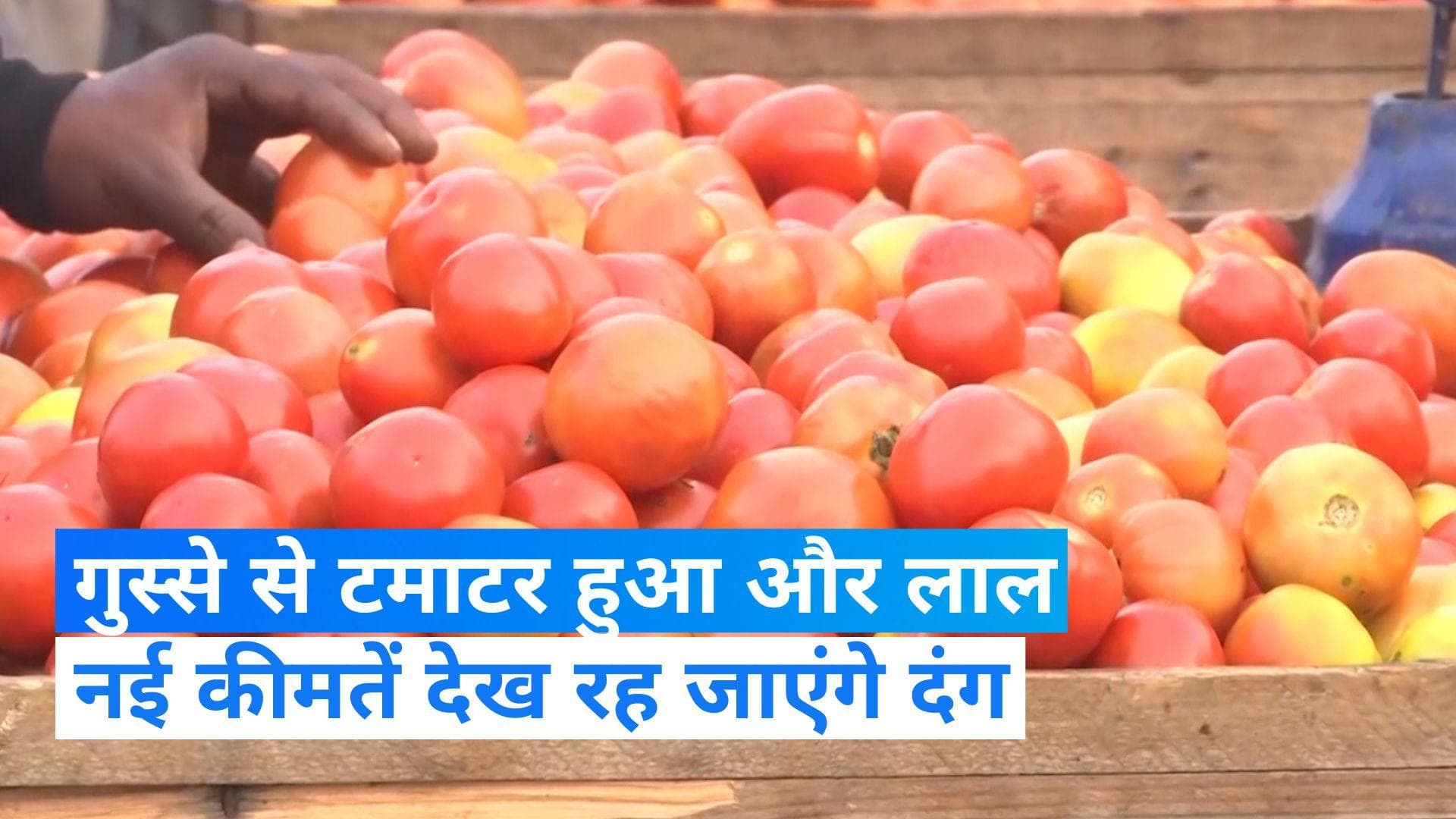 Tomato Price: लगातार बढ़ रहीं टमाटर की कीमतें, जानिए किस शहर में सबसे महंगा है लाल-लाल टमाटर 