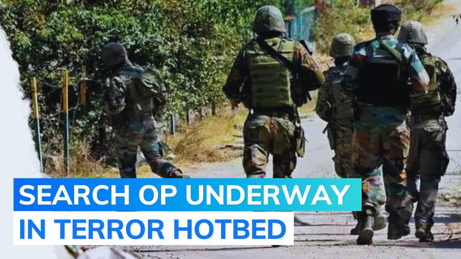 Poonch search operation to hunt terrorists continues after army convoy attack
