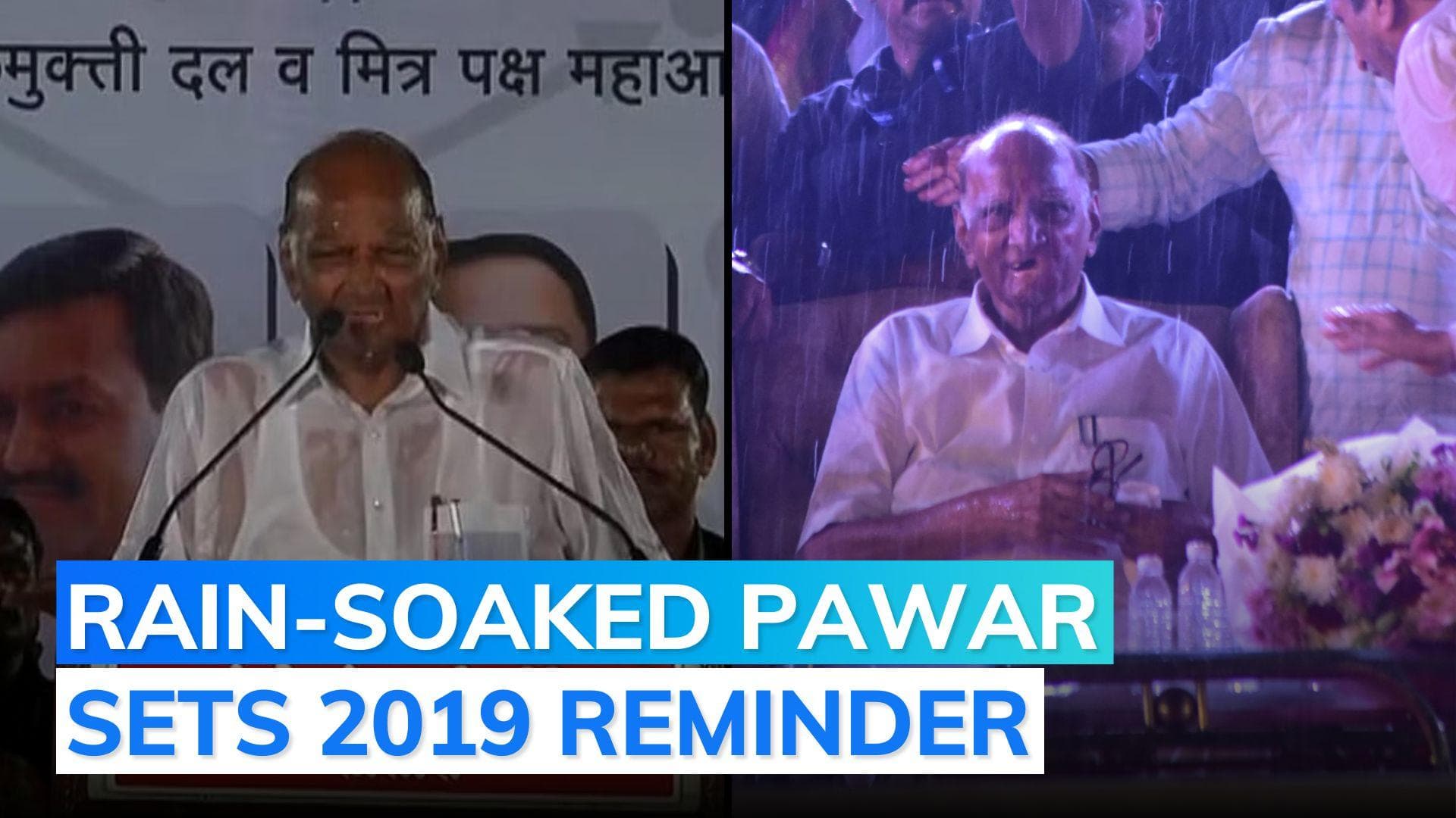 Sharad Pawar's 2019 repeat, defies rains to deliver speech | Watch 