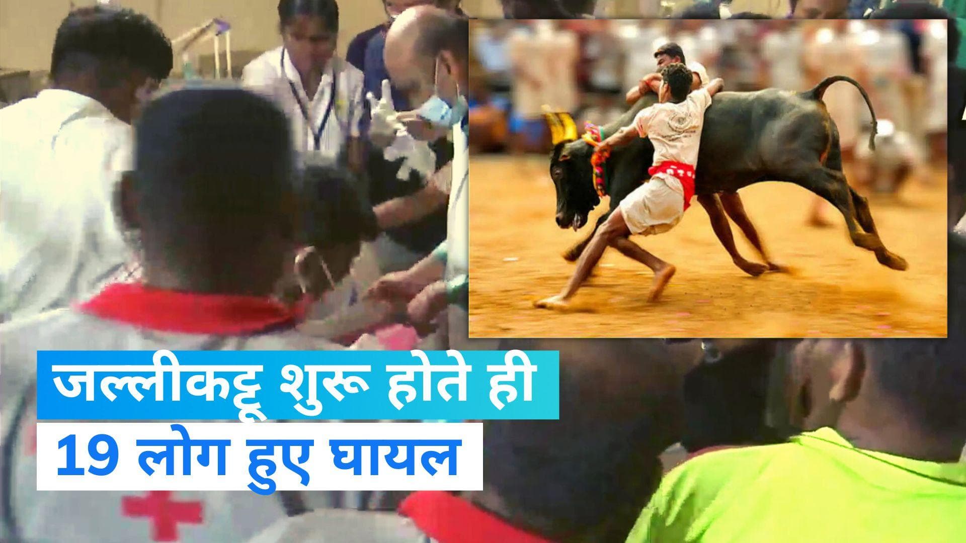 Jallikattu: तमिलनाडु में शुरू हुआ पारंपरिक खेल जल्लीकट्टू, 19 हुए घायल 