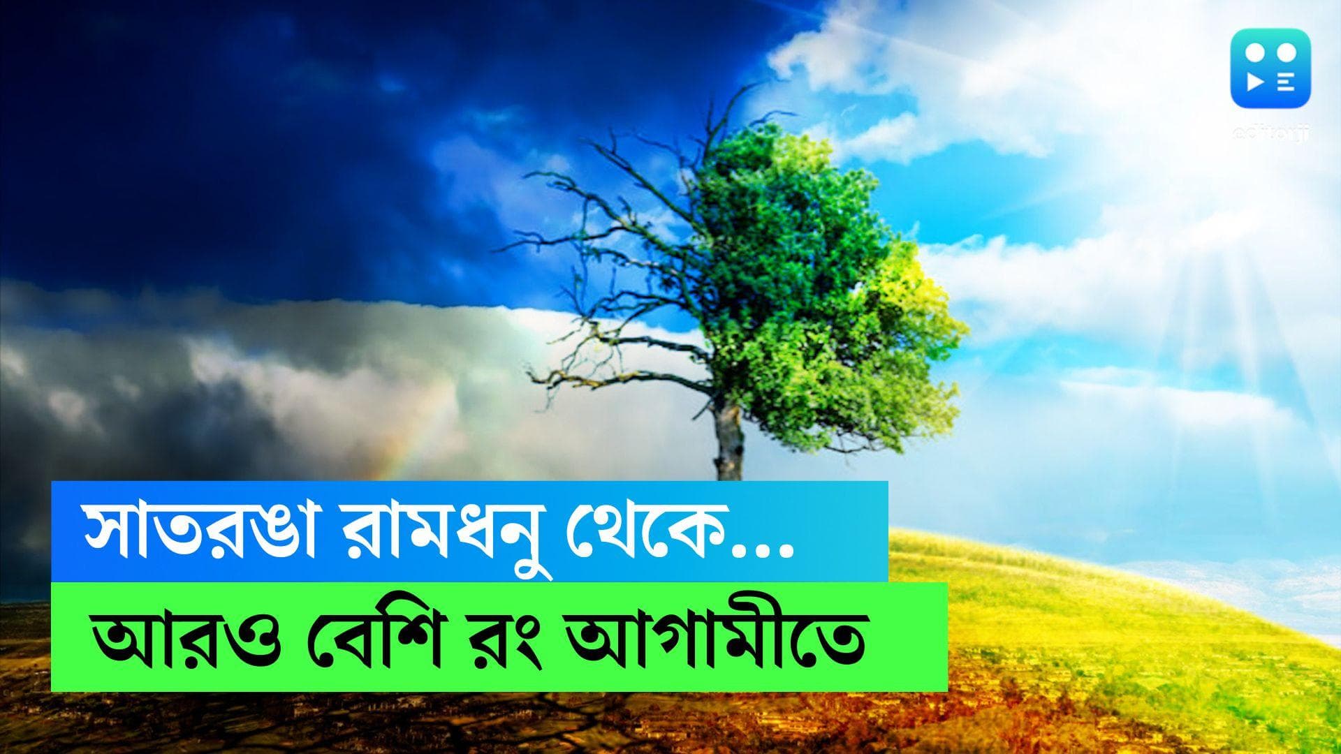 Rainbow: আকাশে আরও বেশি রামধনু! জলবায়ুর বদলেই এমন সুযোগ, বলছেন বিজ্ঞানীরা