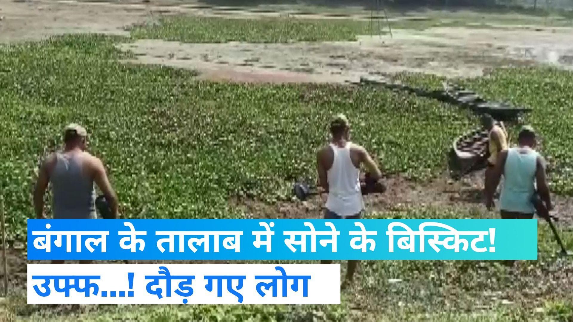 West Bengal: बंगाल के एक तालाब से 2.57 करोड़ रु के सोने के बिस्किट बरामद, क्या है मामला?