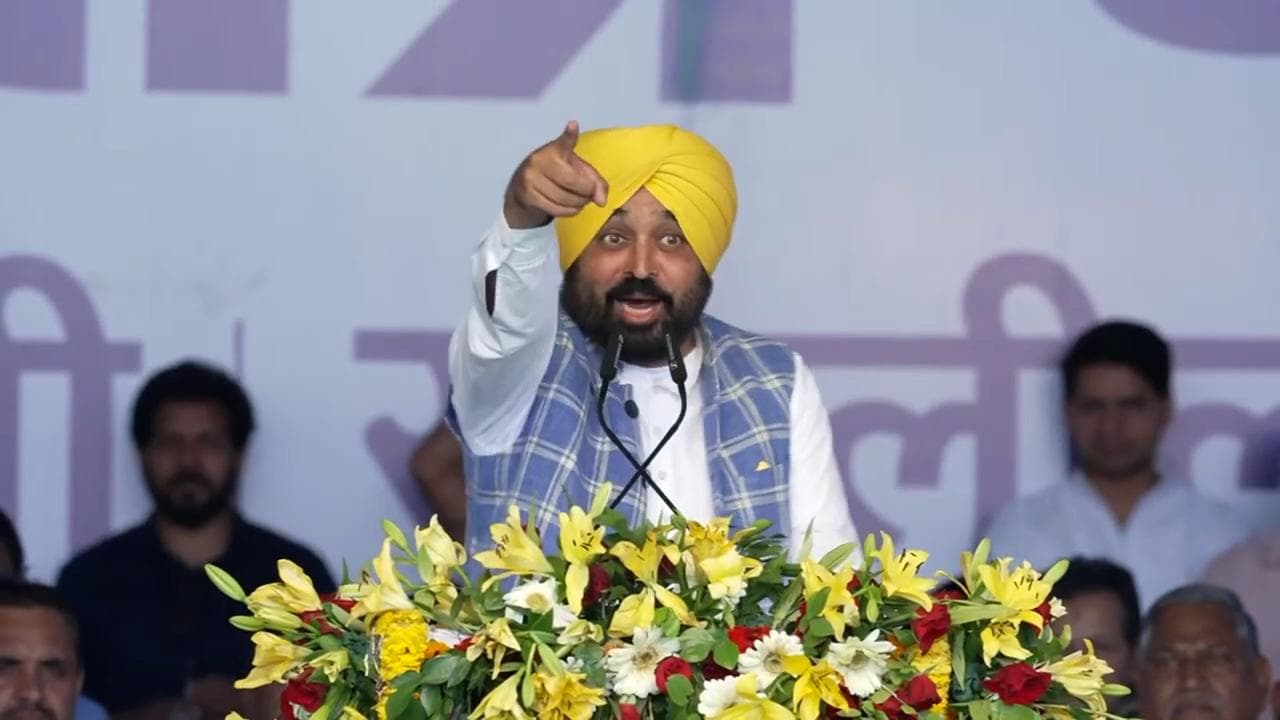 Punjab CM Mann: Next Central govt cannot be formed without AAP's support