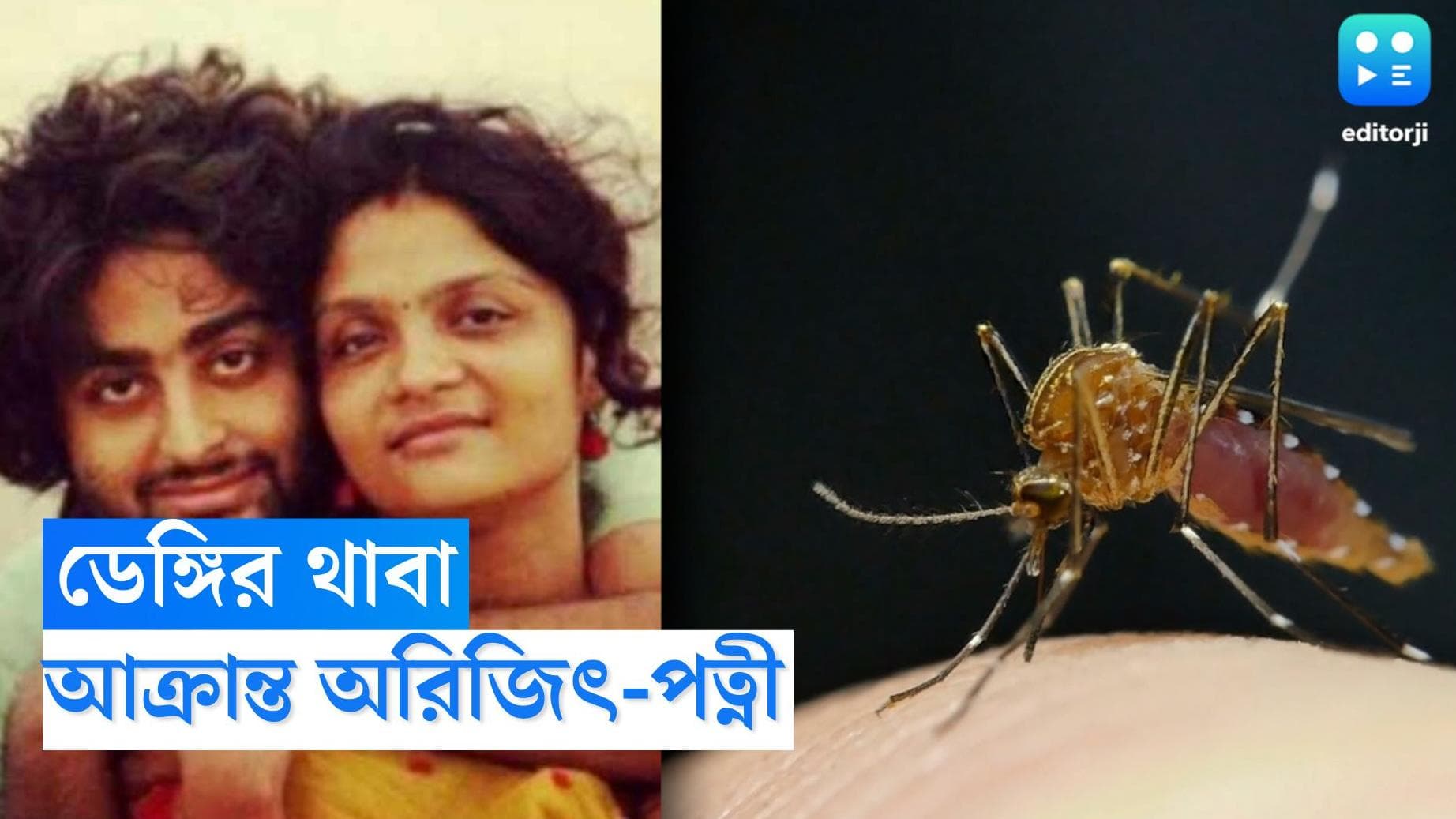 Arijit Singh Dengue: ডেঙ্গি আক্রান্ত অরিজিৎ সিংয়ের স্ত্রী, ভর্তি নার্সিংহোমে, প্রার্থনায় অগণিত ভক্ত