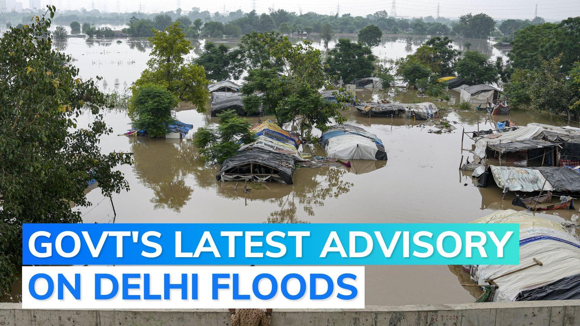 Delhi floods | DDMA announces closure of schools, colleges till Sunday; WFH advised 