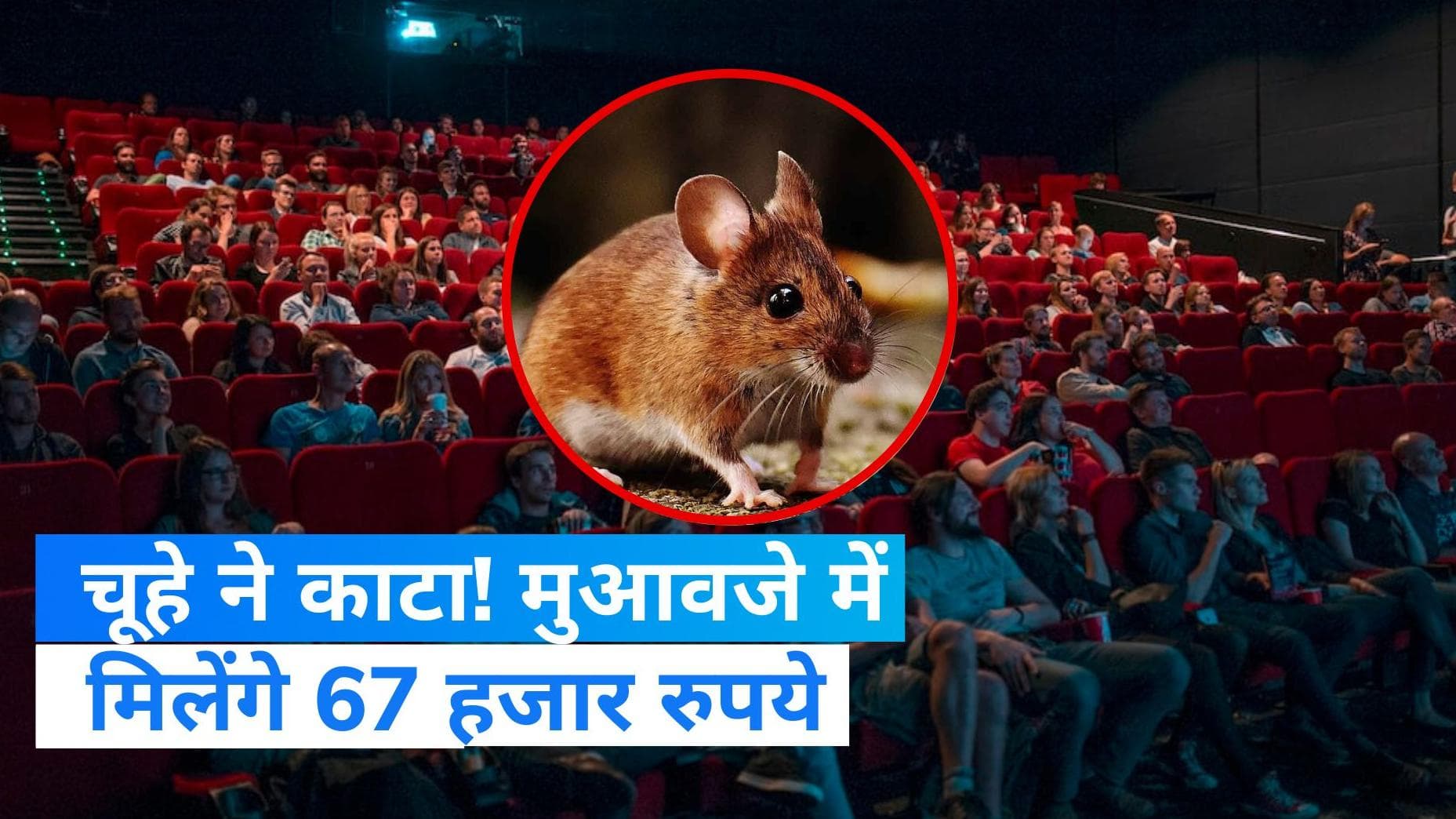 Assam Consumer Court: सिनेमा हॉल में चूहों का आतंक! महिला दर्शक को काटने पर मिला 67 हजार का मुआवजा