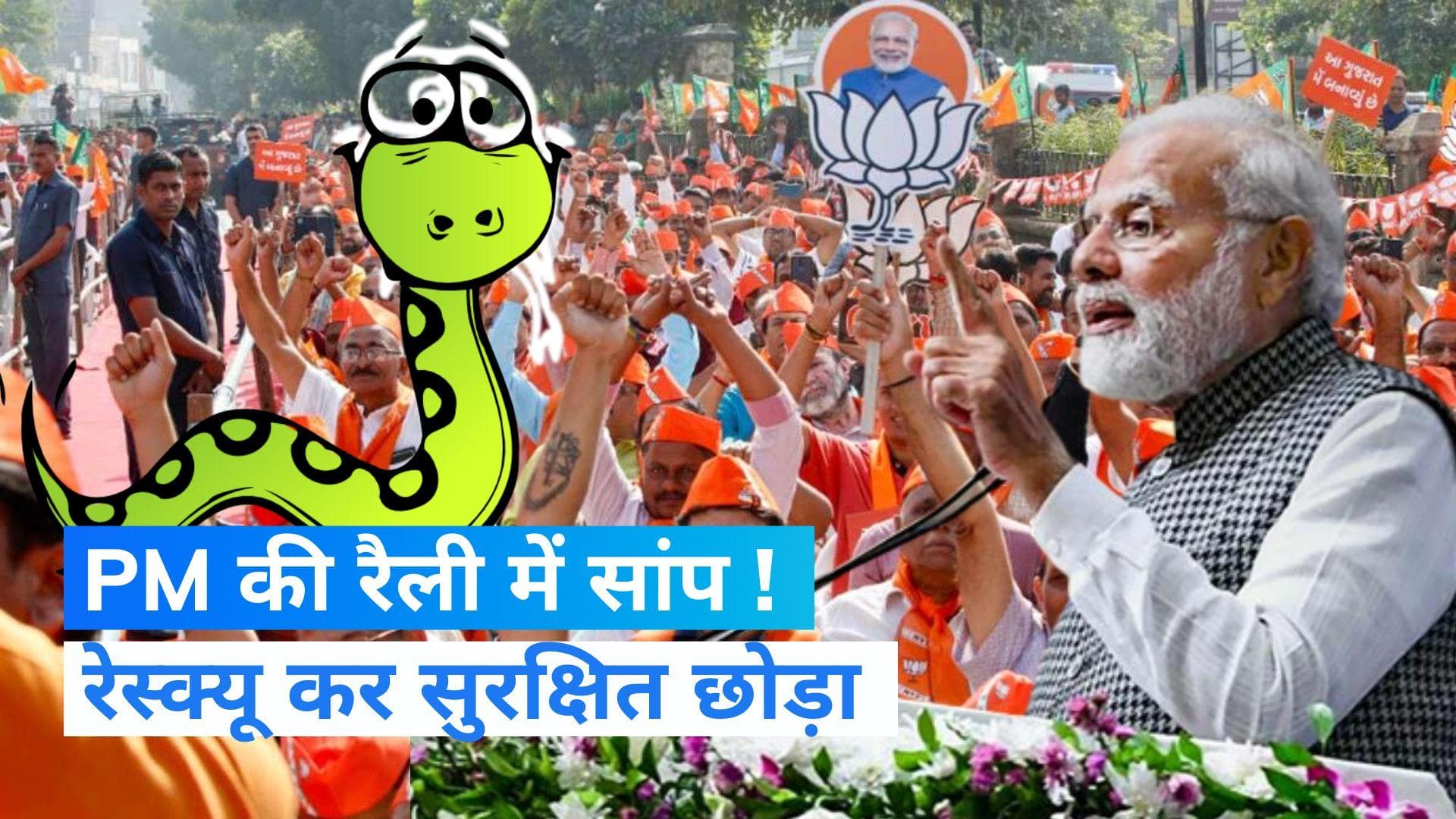 Gujarat Elections: PM मोदी की रैली के बाद निकला सांप, लोगों ने रेस्क्यू कर सुरक्षित स्थान पर छोड़ा