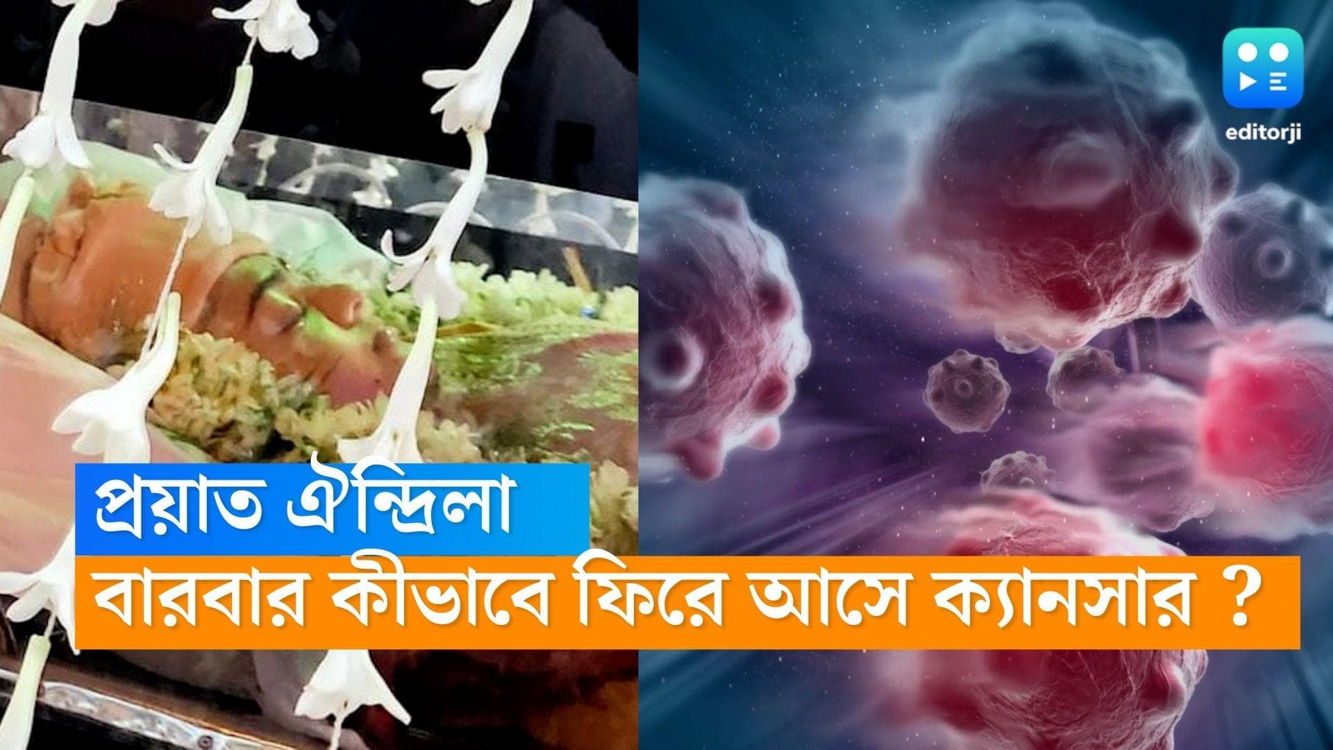 Aindrila Sharma dies : দু'বার ক্যানসারে আক্রান্ত হন ঐন্দ্রিলা,বারবার ক্যানসার ফিরে আসে কীভাবে ?