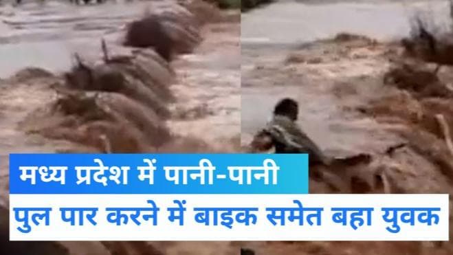 MP Heavy Rain: बाइक समेत पुल से बहा युवक, तैर कर बचाई जान...Video Viral