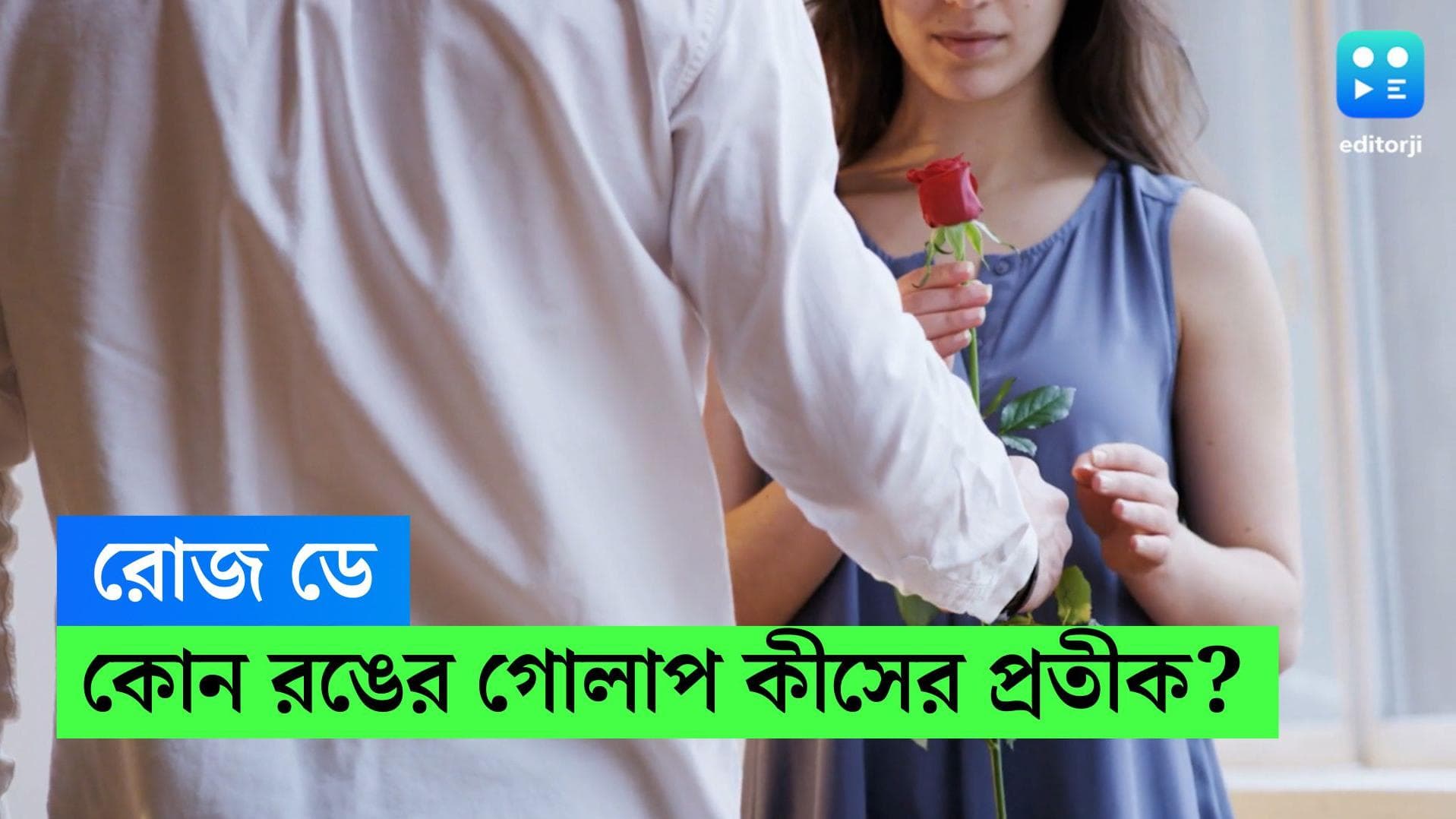 Rose Day : প্রথম দেখাতেই প্রেমে পড়েছেন, কোন রঙের গোলাপ দেবেন ? জেনে নিন কোন রঙের গোলাপের কী অর্থ 