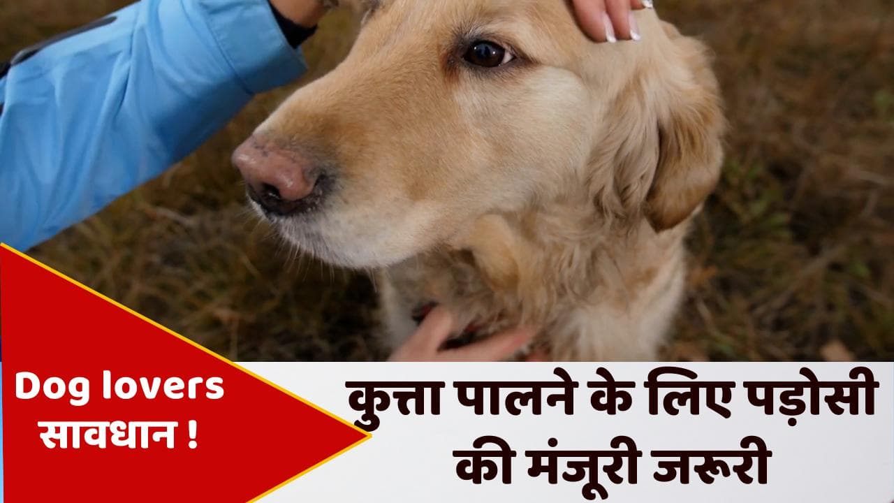 Dog lovers of Agra beware: कुत्ता पालने के लिए पड़ोसी से लेनी होगी इजाजत , इस शहर में नया फरमान...