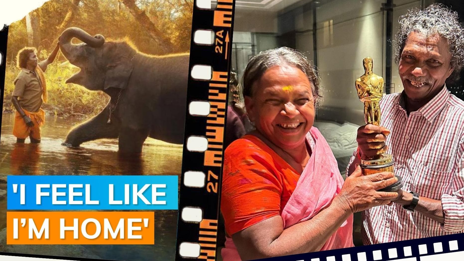 ‘The Elephant Whisperers': Kartiki Gonsalves shares pic of Bomman, Belli posing with Oscar; fans react