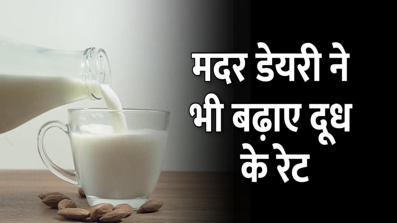 Mother Dairy Price Hike: मदर डेयरी का दूध हुआ महंगा, जानिए नए रेट