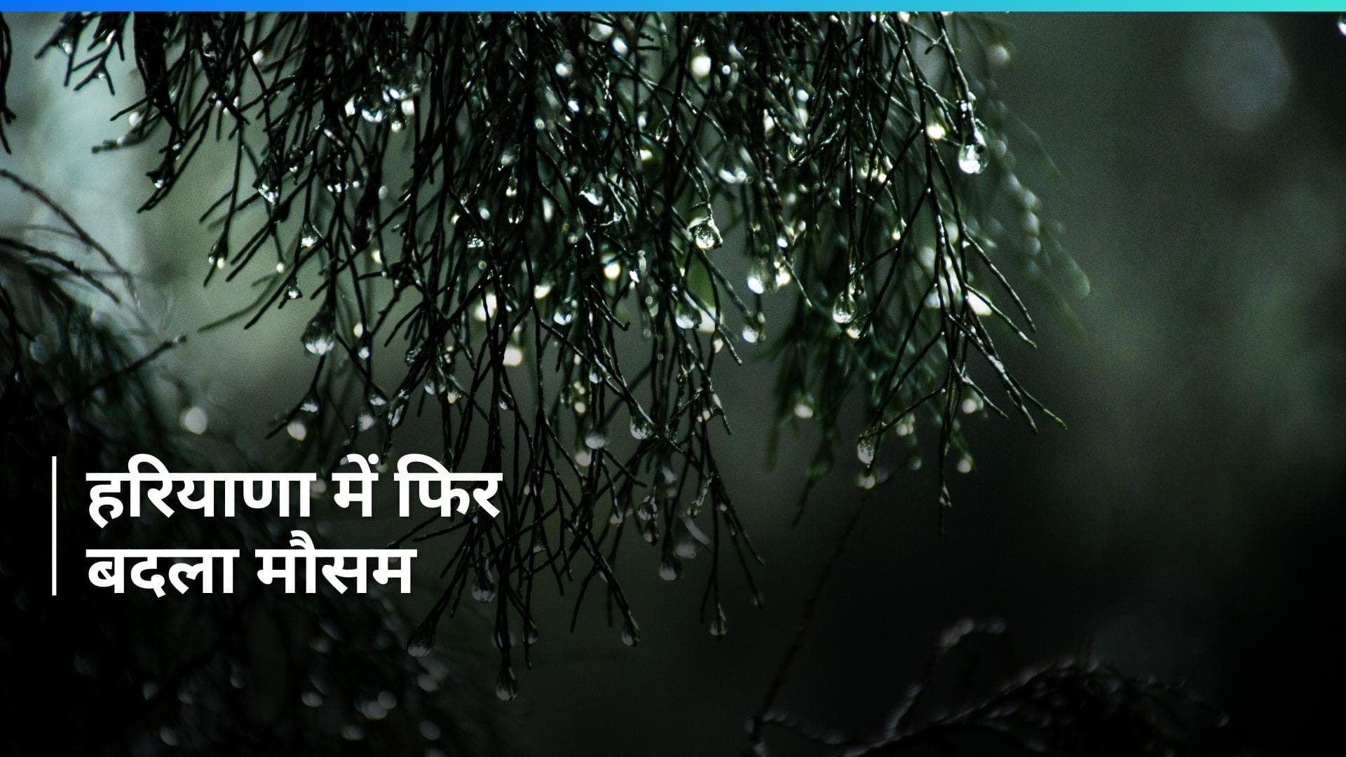 Weather Update: हरियाणा-पंजाब में तेज बारिश, 2 दिनों का यलो अलर्ट; जानें अपने इलाके में मौसम का हाल