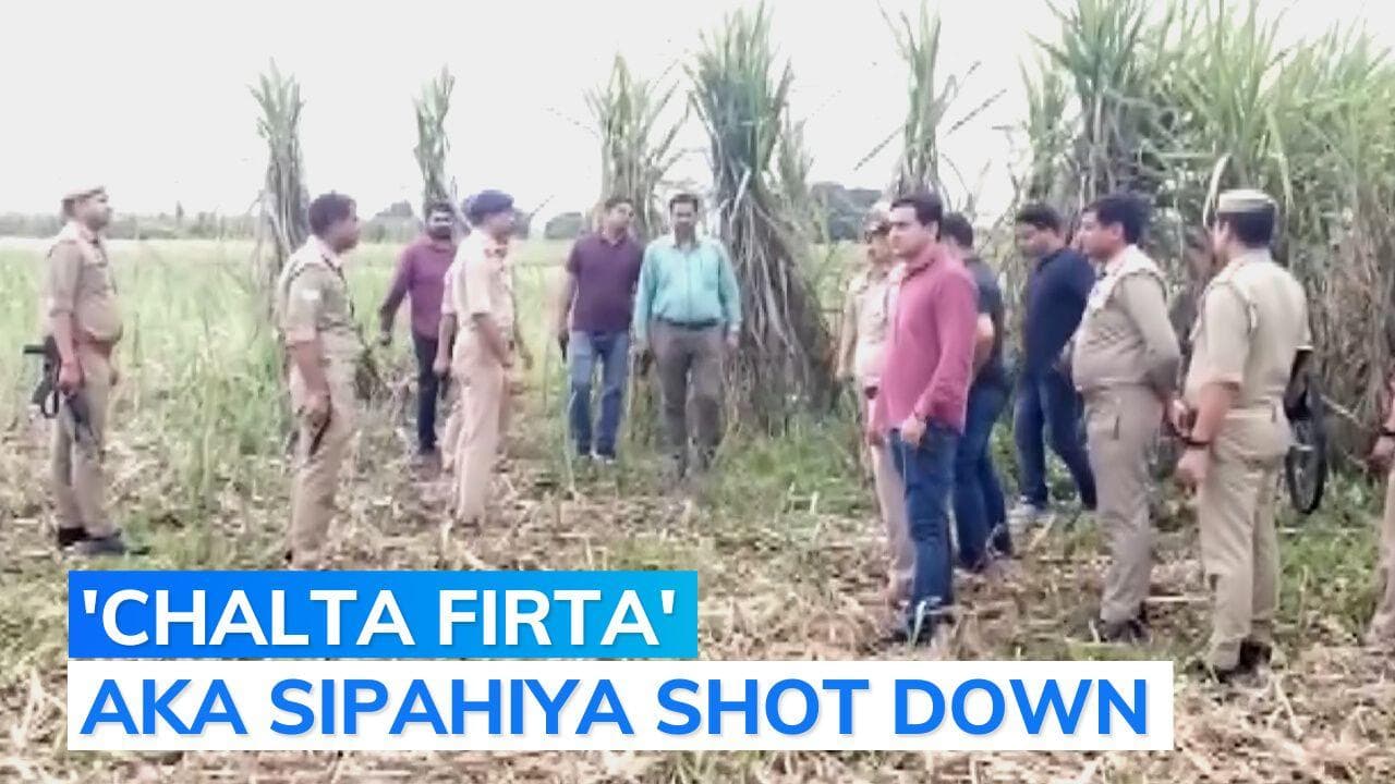 'Criminal' wanted for Suresh Raina's relatives' murder killed in UP encounter