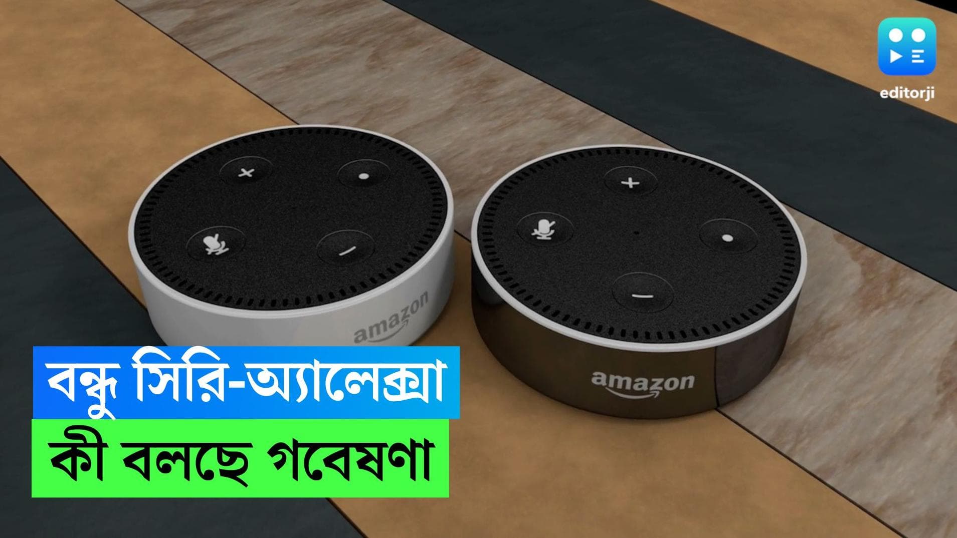 Siri-Alexa: একা লাগে? কথা বলার কেউ নেই? নিঃসঙ্গতা কাটাতে বন্ধু সিরি অ্যালেক্সা, বলছে গবেষণা