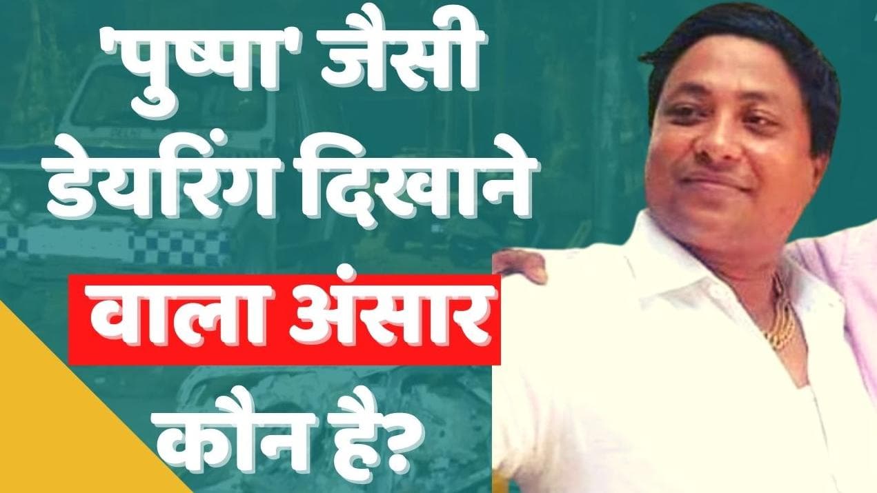 Delhi Violence: जानें, 'पुष्पा' जैसी डेयरिंग दिखाने वाला अंसार कौन है?