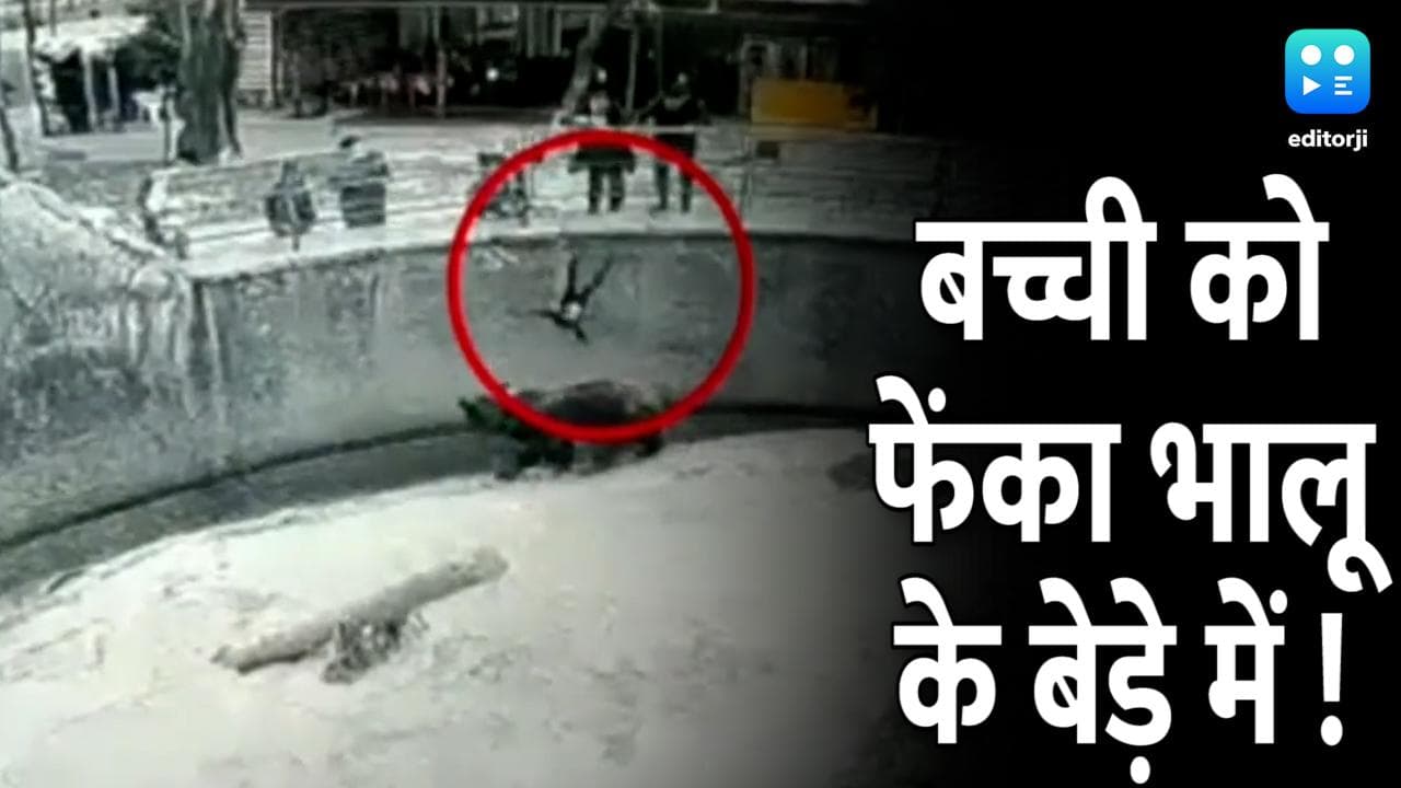 Viral Video: मां ने 3 साल की बच्ची को भालू के सामने फेंका...जानिए फिर क्या हुआ?