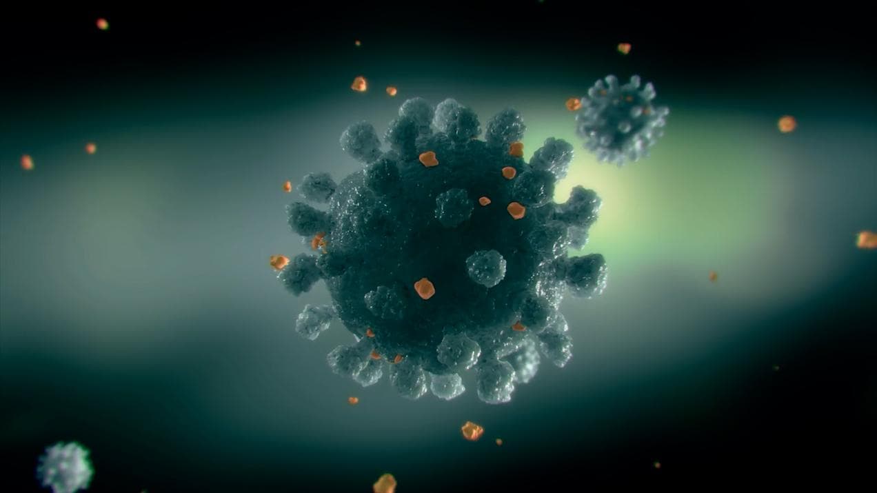 Omicron Variant: বিশ্বের দু'ডজন দেশে হানা ওমিক্রন ভাইরাসের, আমেরিকাতেও আক্রান্তের হদিশ মিলেছে 