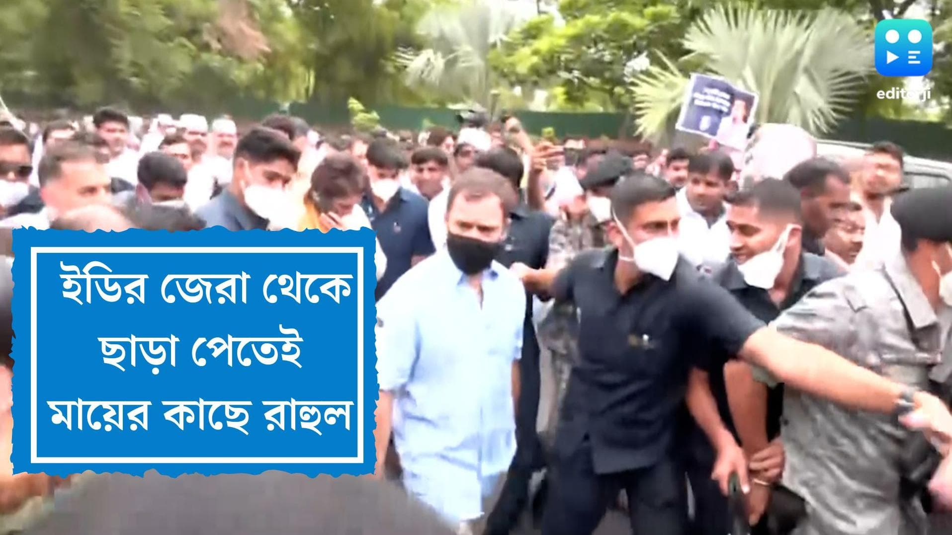 Rahul Gandhi: অসুস্থ মা সনিয়া, ইডির জেরা থেকে আপাতত ছাড়া পেতেই হাসপাতালে রাহুল গান্ধী