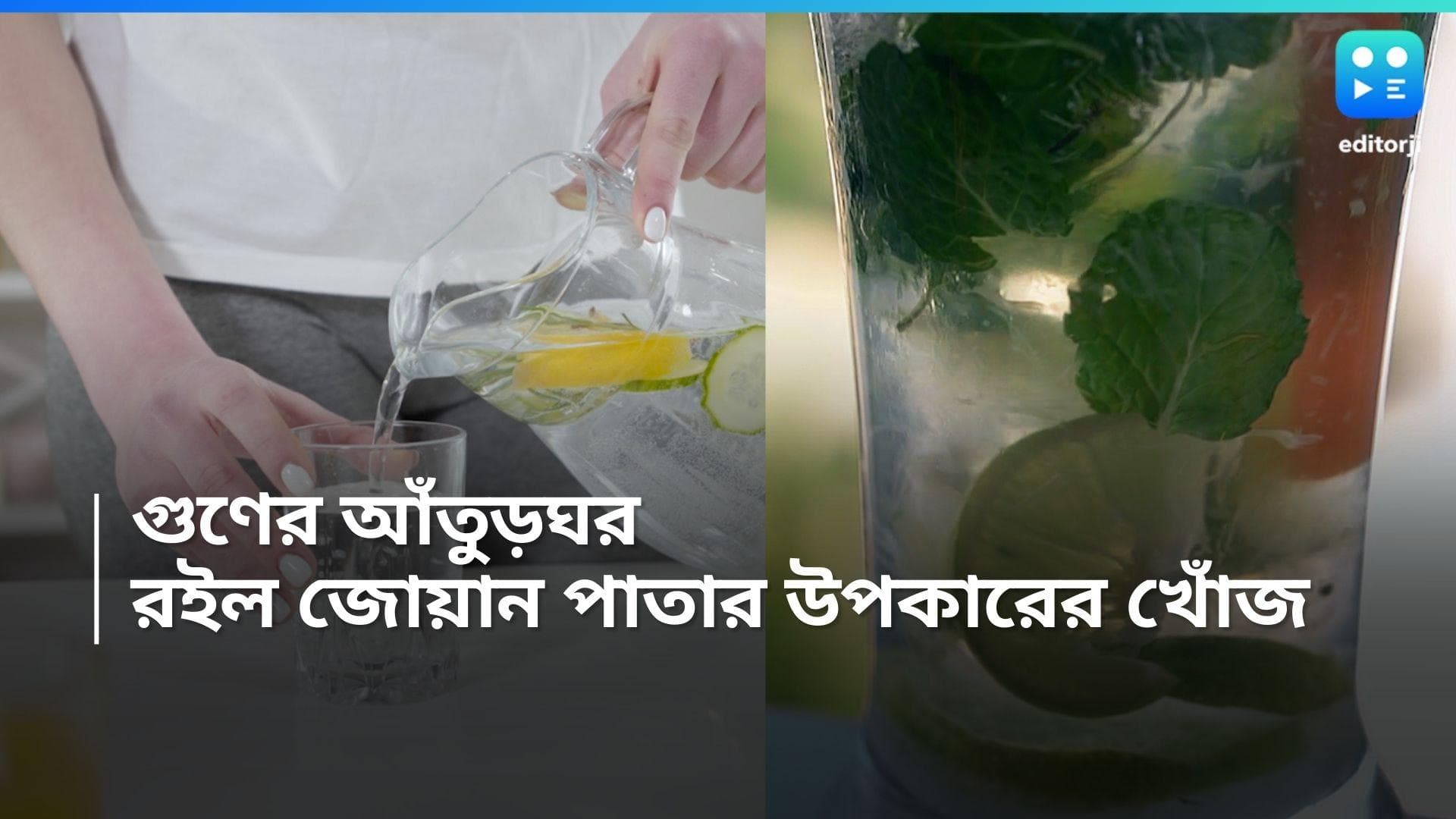 Ajwain Leaves : গুণের আঁতুরঘর, জোয়ান পাতায় কী কী উপকার?