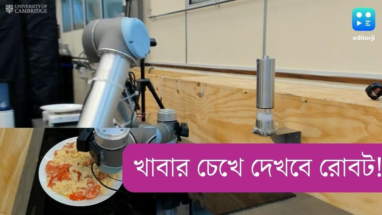 Robot Chef: পাক্কা রাঁধুনি! কোন খাবারে কতোটা মশলা পড়বে, বলে দেবে রোবট