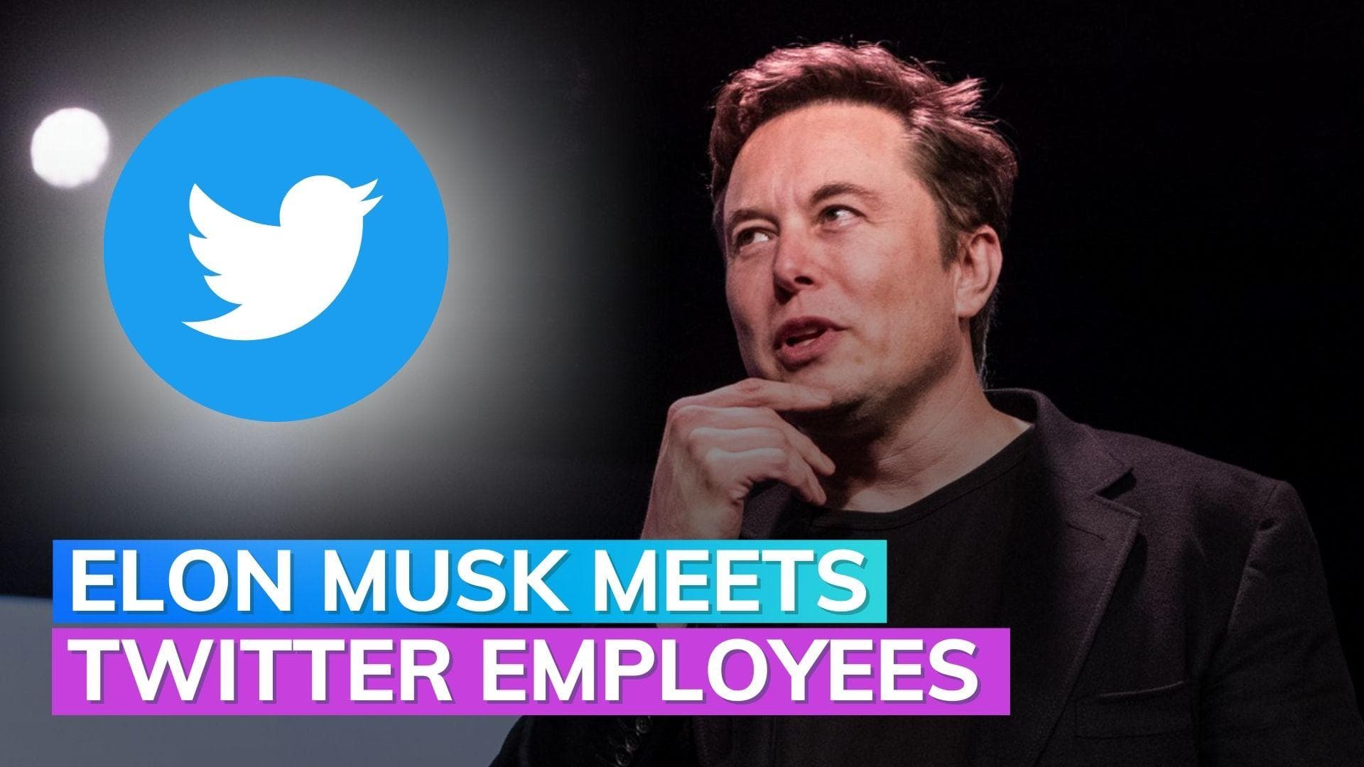 Musk meets Twitter employees finally - and he talked about aliens! 