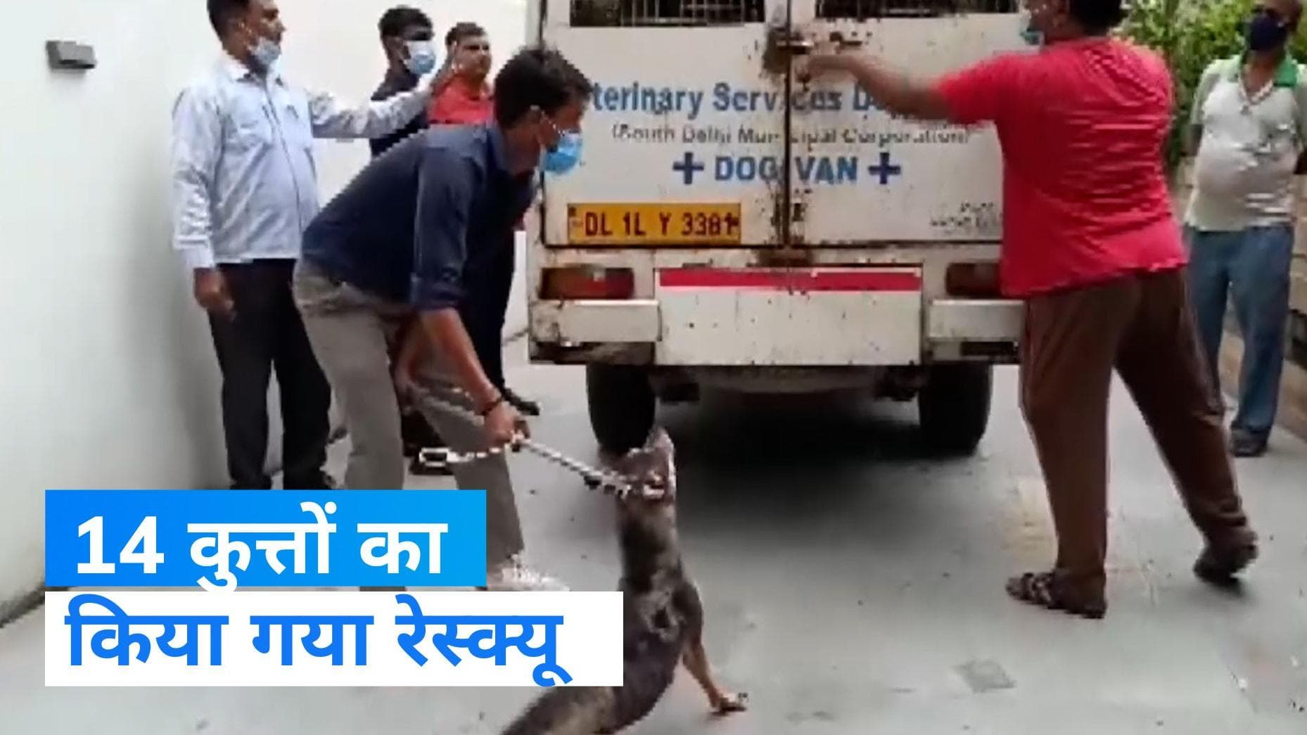 Delhi News: कोर्ट के आदेश के बाद 14 कुत्तों का रेस्क्यू, खाने के बगैर हुआ बुरा हाल- देखिए Video 