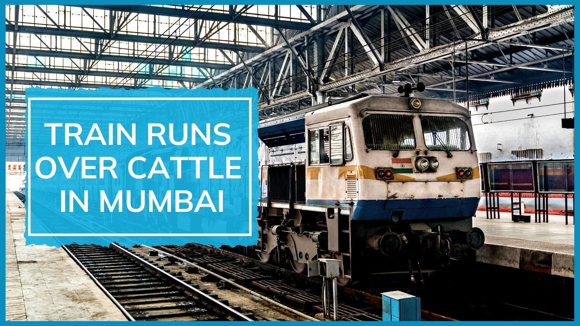 Mumbai: local train runs over cattle, disrupting rail services. Watch what happened