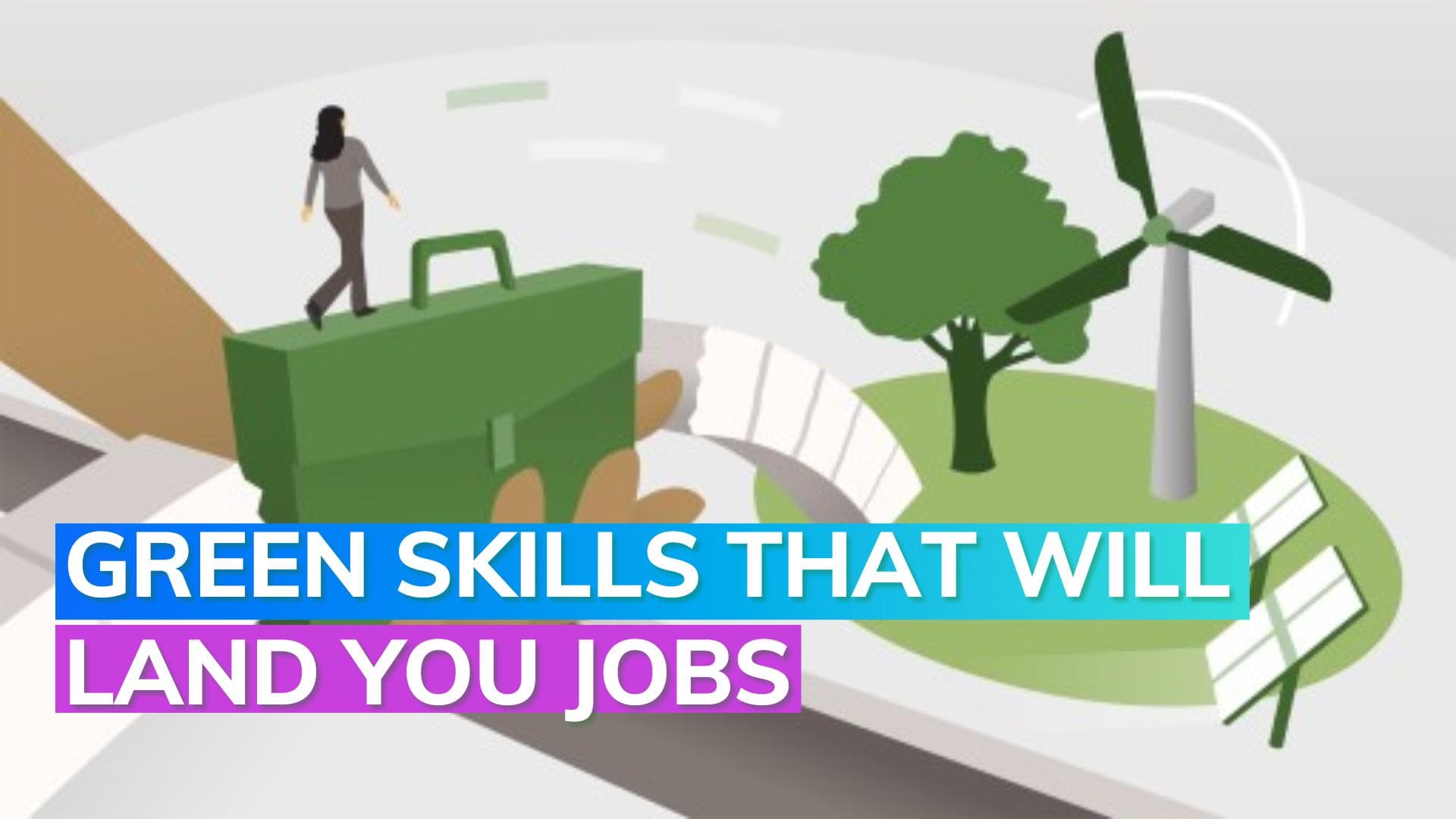 Demand for Green Skills for green jobs growing: LinkedIn senior director