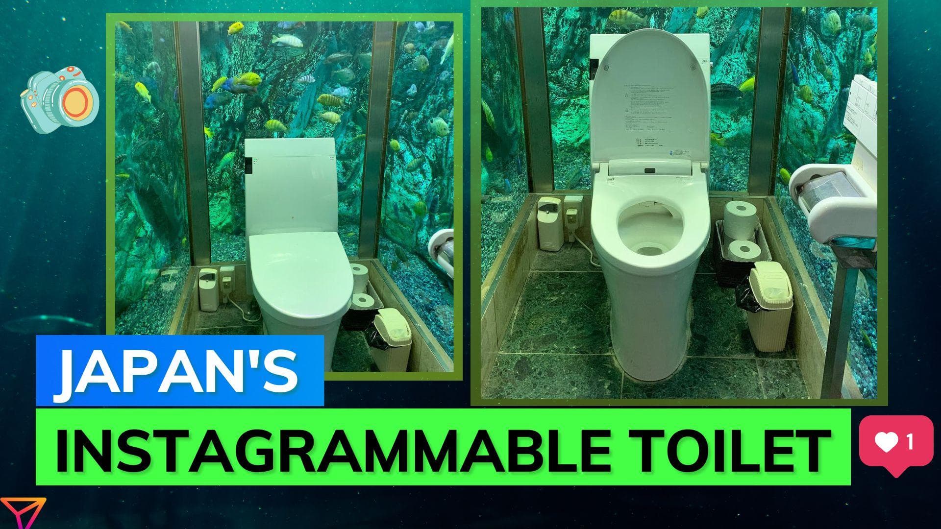 Toilet with an aquarium: This Japanese café has a restroom worth a visit; watch here