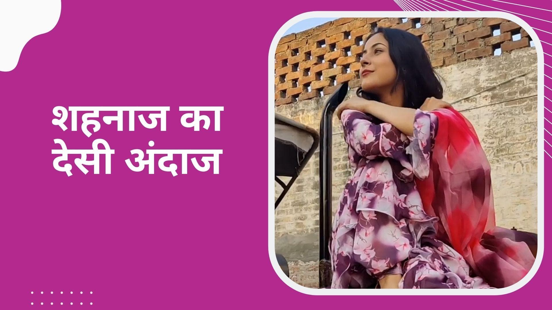 सूट पहनकर खेत में डांस करती दिखीं Shehnaaz Gill, 'बोलीं मेरा पिंड, मेरे खेत' 