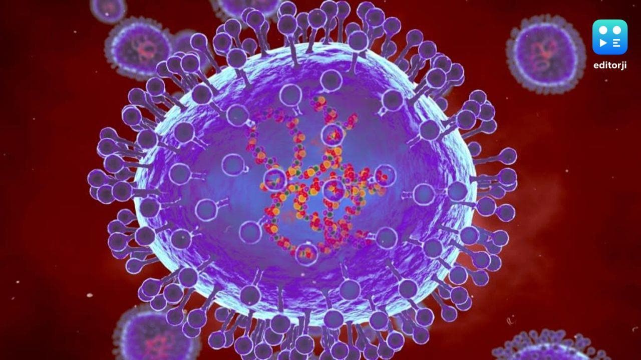 HMPV in India: ICMR detects two cases in Bengaluru