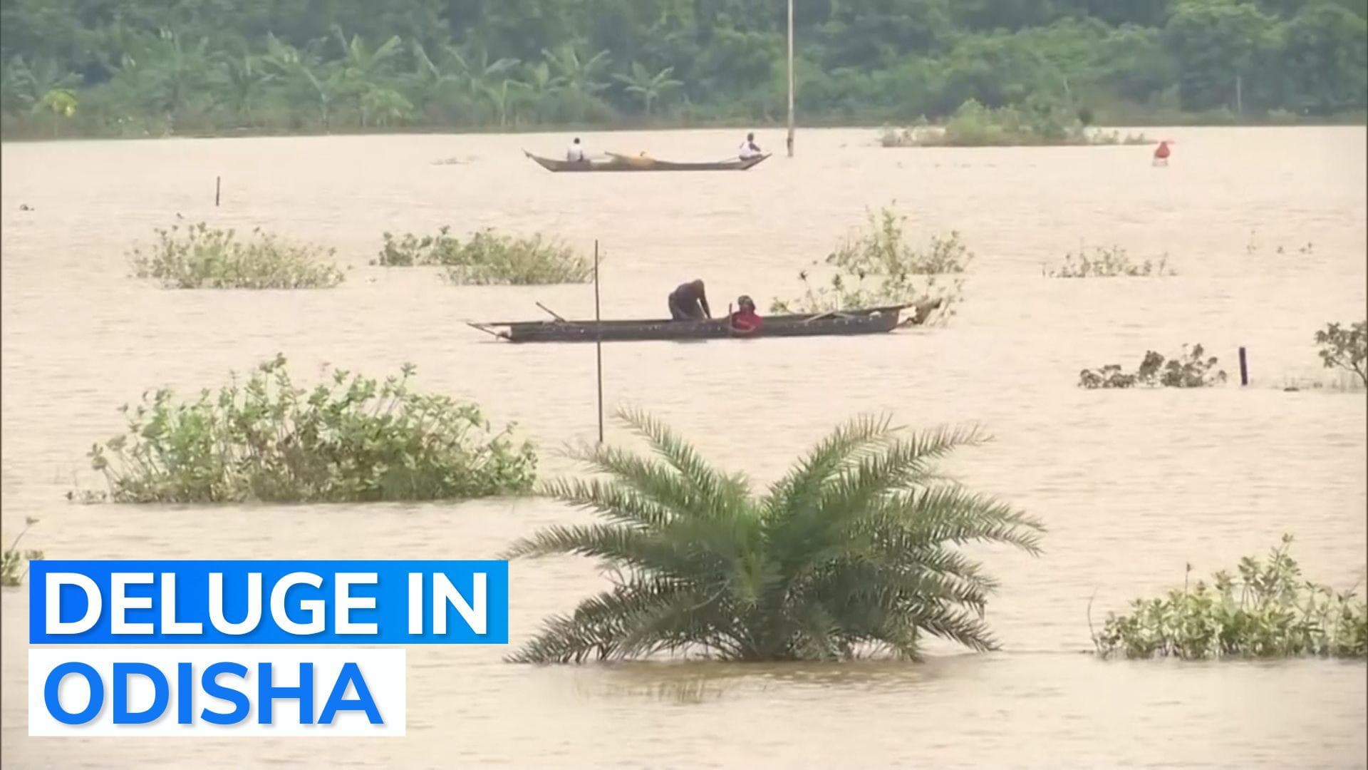 Odisha: red alert for next 2 days, over 5 lakh people affected due to floods
