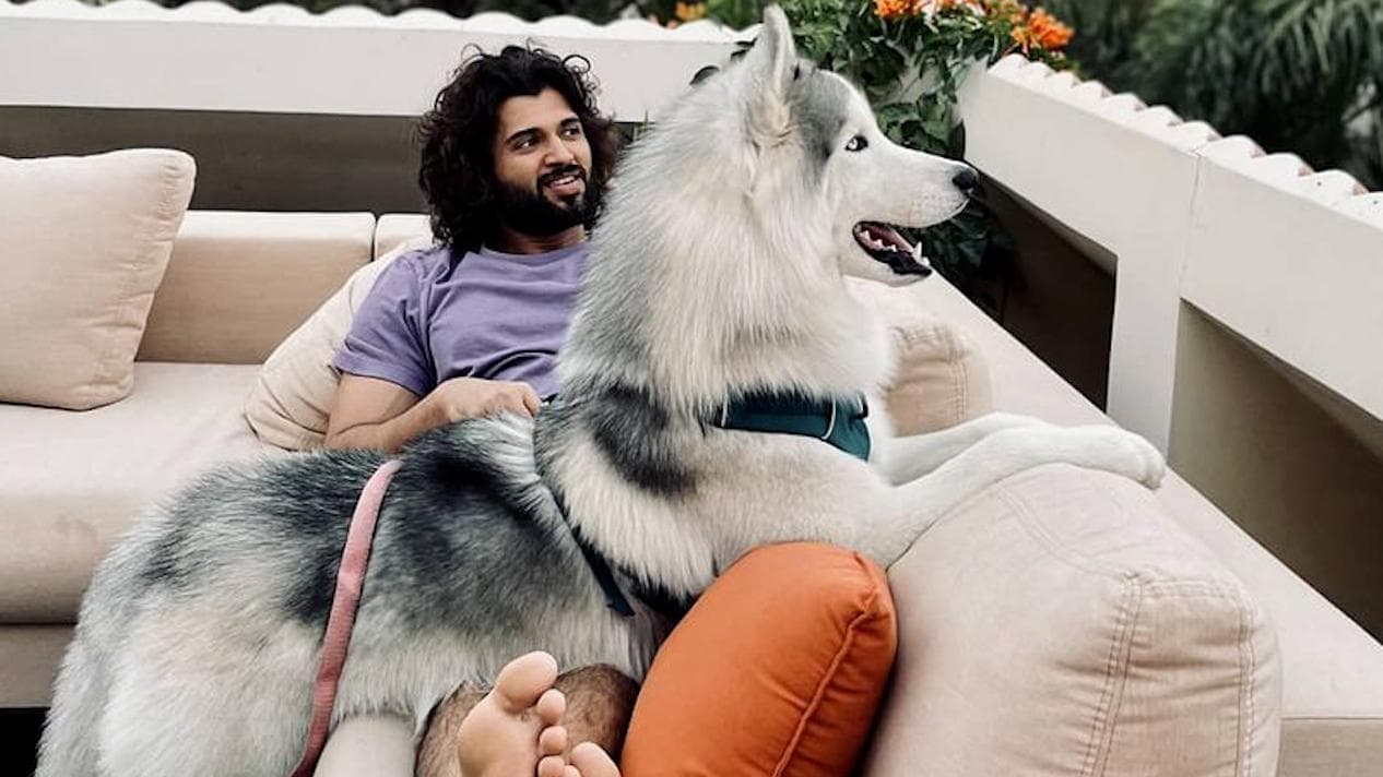 Vijay Devarakonda's dog on a private plane takes social media by 'storm'